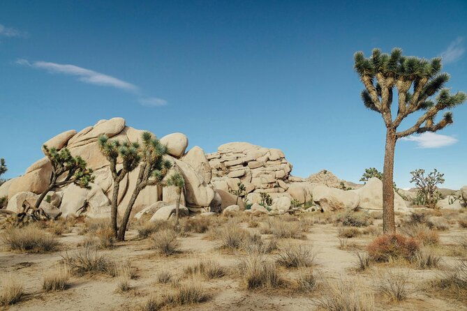 red-rock-canyon-calico-basin-self-guided-audio-tour