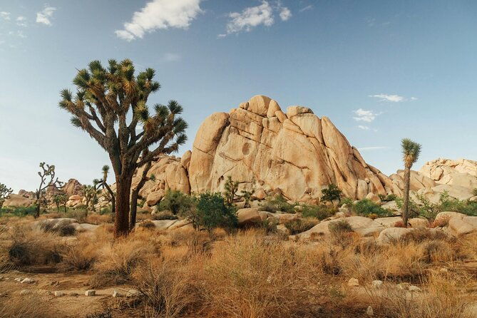 red-rock-canyon-calico-basin-self-guided-audio-tour