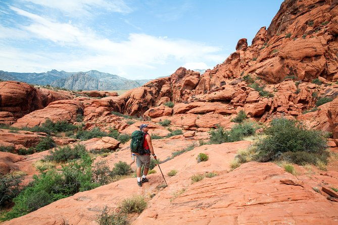 red-rock-canyon-hike-with-transport-from-las-vegas