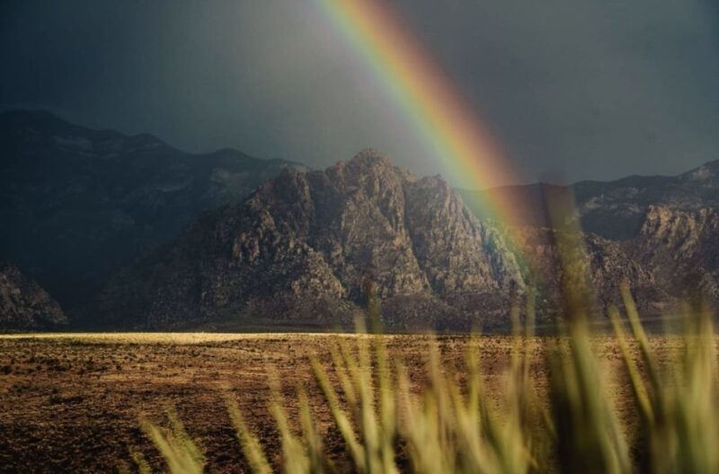 Red Rock Canyon Sign& Seven Magic Mountains Tour - Who Is This Tour Best For?