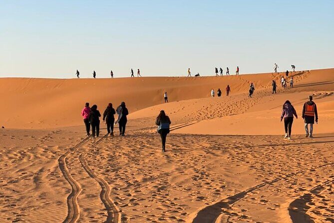 Red Sand Dunes Tour with Camel Ride ,Quad Biking, Heritage House - Guides and Service Quality