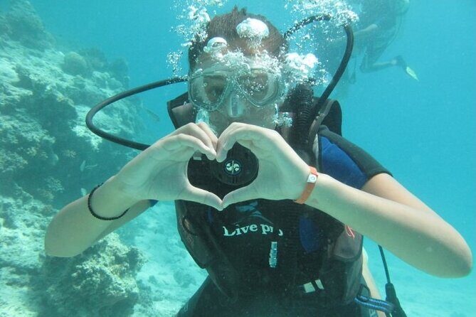 Red Sea Diving Trip from Hurghada: Beginner to Advanced Divers - What to Expect: A Full Breakdown of the Experience