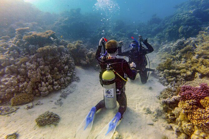 Red Sea Diving Trip from Hurghada: Beginner to Advanced Divers - The Sum Up