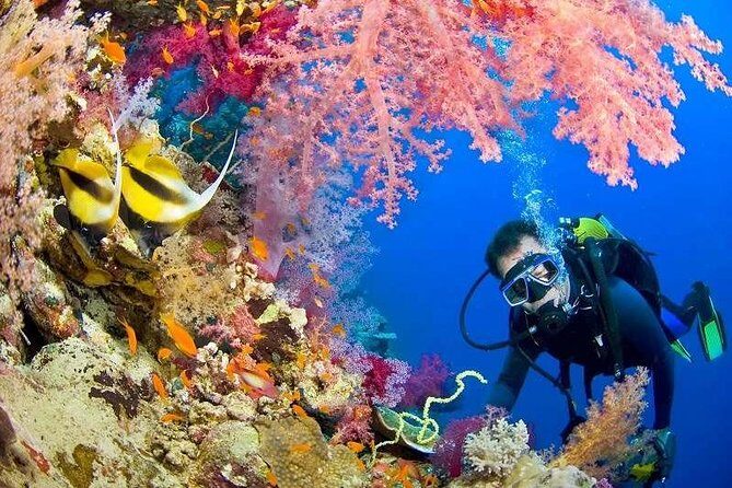 Red Sea Snorkeling from Hurghada - What Sets This Tour Apart?  