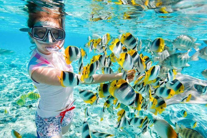 Red Sea Snorkeling Hurgada - What to Expect from the Red Sea Snorkeling Tour in Hurghada  