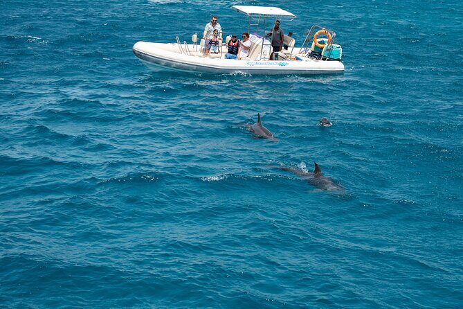 Red Sea Wonders Dolphin House Snorkeling Cruise & Lunch_ Hurghada - FAQ
