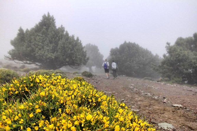 RED VALLEY( Azzaden ) 2 DAY TREK in Atlas Mountains - Final Thoughts