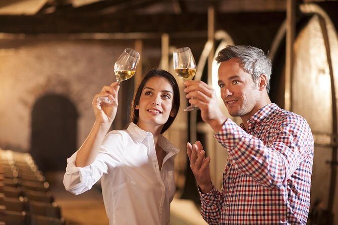Red White & Brew - Wine, Gin & Beer Tour with Tastings from Adelaide - Who Will Enjoy This Tour?