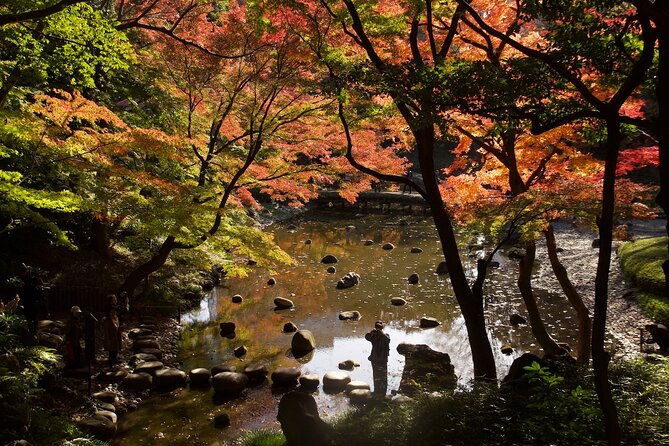 red-yellow-and-brown-visit-autumn-leaves-spots-in-tokyo