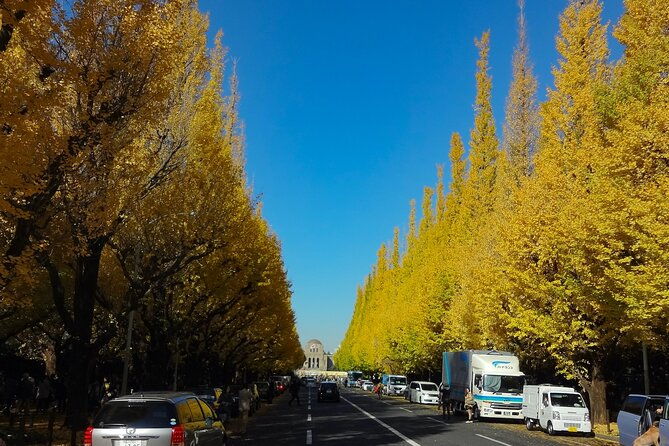 red-yellow-and-brown-visit-autumn-leaves-spots-in-tokyo