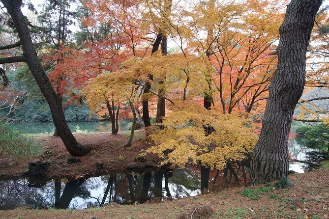 red-yellow-and-brown-visit-autumn-leaves-spots-in-tokyo
