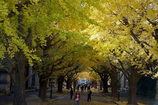 red-yellow-and-brown-visit-autumn-leaves-spots-in-tokyo