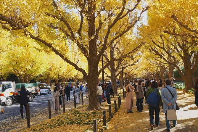 red-yellow-and-brown-visit-autumn-leaves-spots-in-tokyo