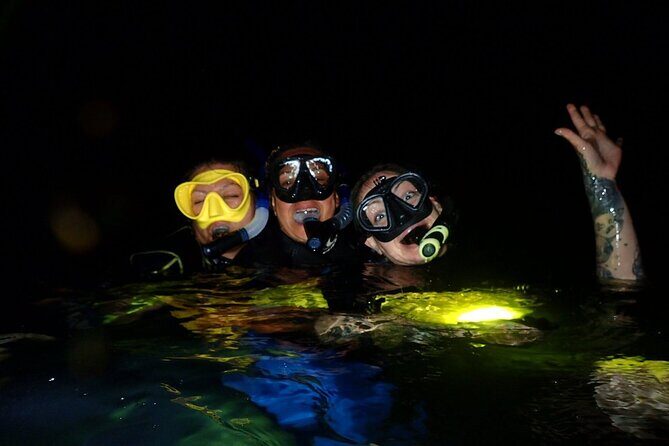 Redang Night Snorkeling Trip (Private Tour) - Authentic Insights from Guest Reviews
