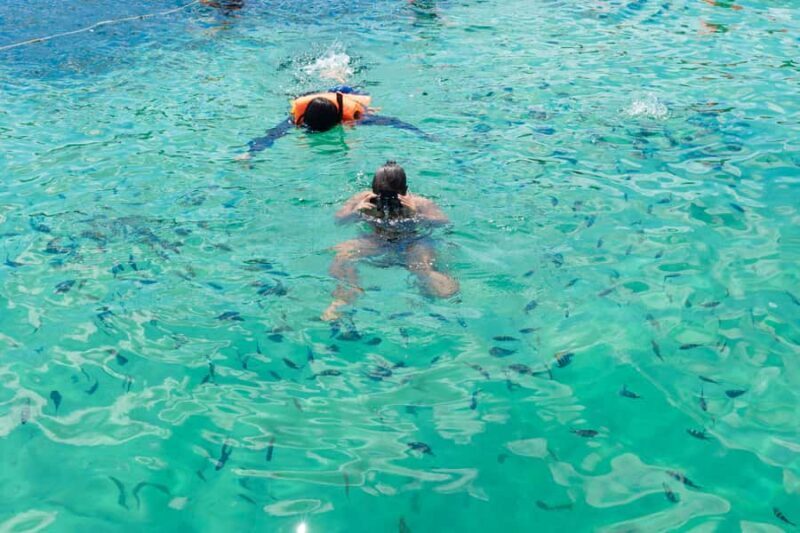 RedRiverTour - Discovery 3 Islets, Snorkeling By Speedboat - Key Points