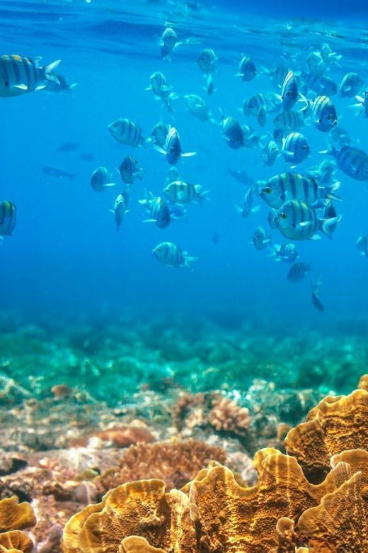 redrivertour-discovery-3-islets-snorkeling-fishing-by-boat