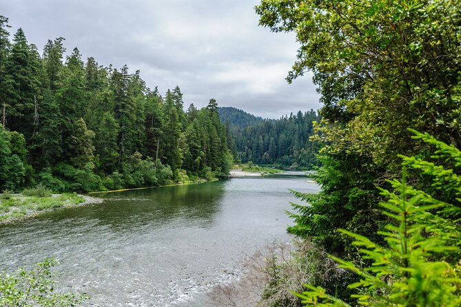 redwood-national-and-state-parks-self-guided-audio-driving-tour