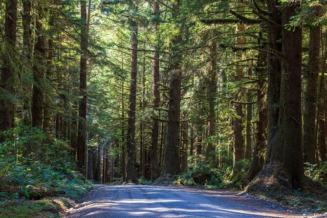 redwood-national-and-state-parks-self-guided-audio-driving-tour
