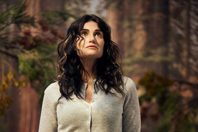 redwood-starring-idina-menzel-on-broadway-ticket