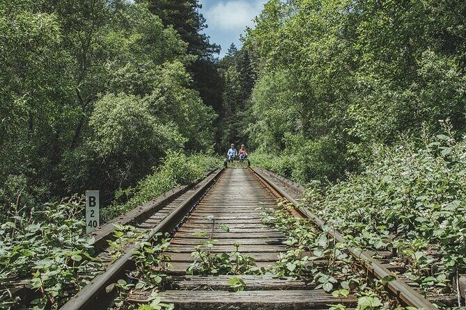 Redwoods Railbike Along Pudding Creek - An In-Depth Look at the Redwood Railbike Experience  