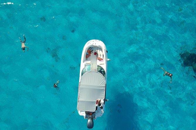 Reef Discovery Half Day Group Signature Tour - An In-Depth Look at the Reef Discovery Snorkeling Tour