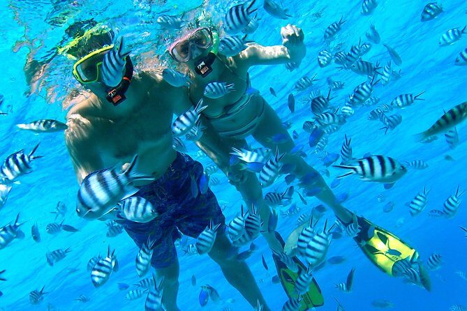 Reef Discovery Private Half Day Lagoon Tour - Why Choose the Reef Discovery Private Half-Day Lagoon Tour?