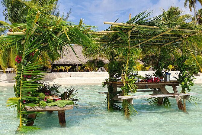 Reef Discovery Private Half Day Lagoon Tour - Final Thoughts