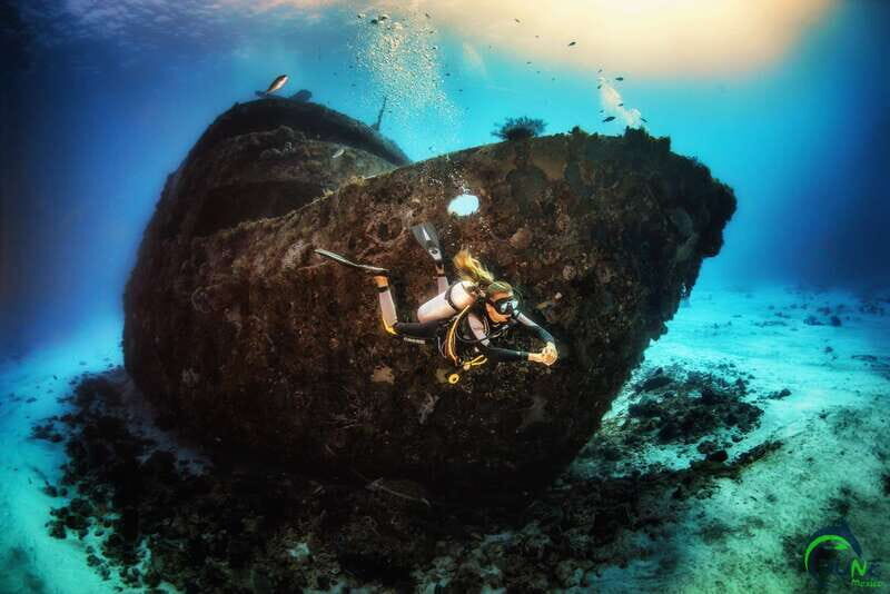 Reef Diving in Playa del Carmen - Key Points  