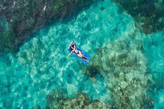 reef-explorer-half-day-trip