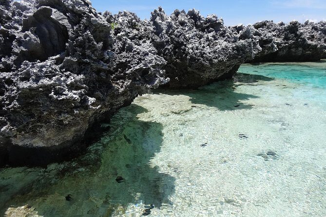 REEF ISLAND | private island | pink sand | natural swimming pools - The Sum Up: Is This Tour Worth It?