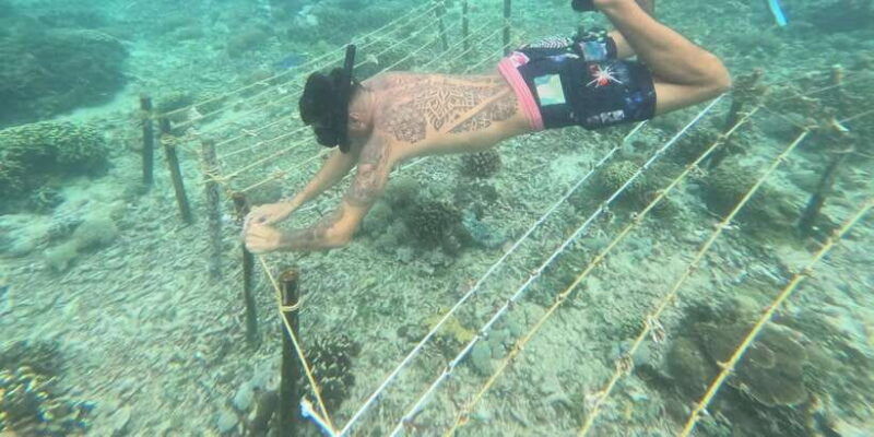 reef-rehabilitation-course-snorkeling
