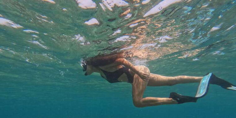 reef-rehabilitation-course-snorkeling