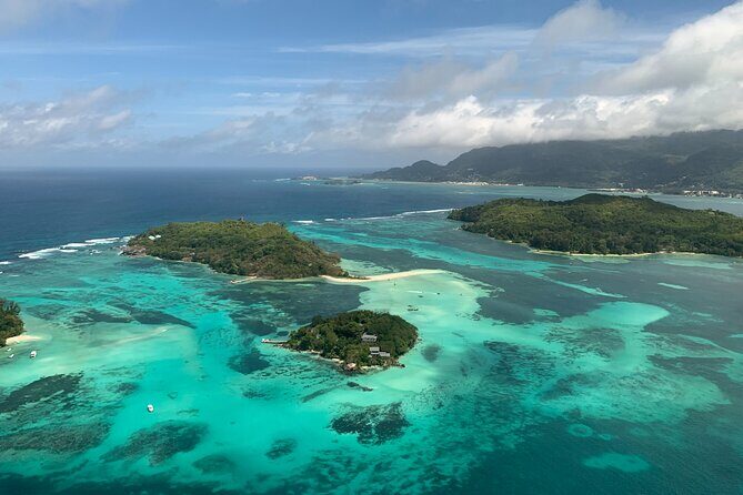 Reef Safari - Snorkeling, Fish Feeding & Lunch (Private Day Trip) - Key Points