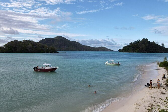 Reef Safari - Snorkeling, Fish Feeding & Lunch (Private Day Trip) - Final Thoughts