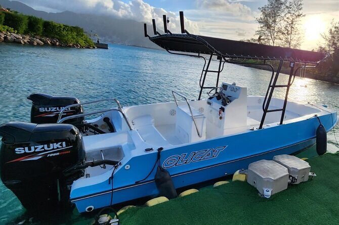 Reef Safari - Snorkeling, Fish Feeding & Lunch (Private Day Trip) - FAQ
