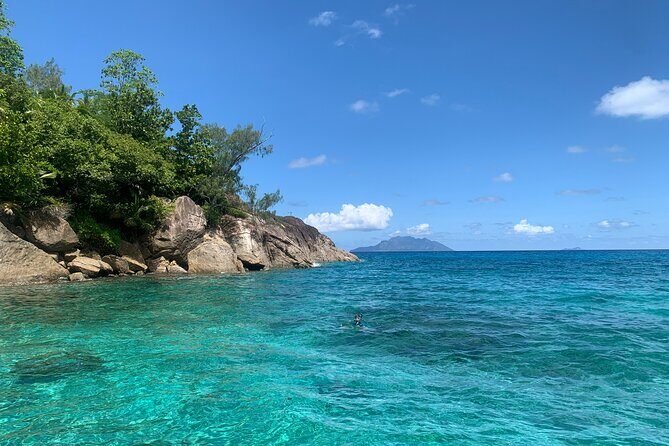 Reef Safari - Snorkeling, Fish Feeding & Lunch (Shared Day Trip) - Moyenne Island: Tortoises, Walks, and Ocean Views