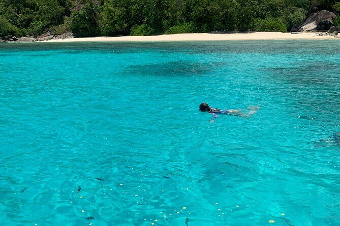 Reef Safari - Snorkeling, Fish Feeding & Lunch (Shared Day Trip) - Cerf Island: Beachside Lunch & Relaxation  