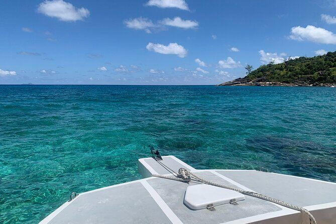 Reef Safari - Snorkeling, Fish Feeding & Lunch (Shared Day Trip) - Practical Details & Tips to Maximize Your Experience