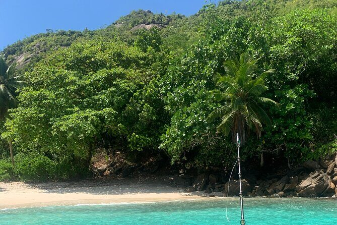 Reef Safari - Snorkeling, Fish Feeding & Lunch (Shared Day Trip) - FAQs