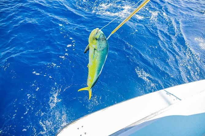 reel-adventures-a-fin-tastic-fishing-tour