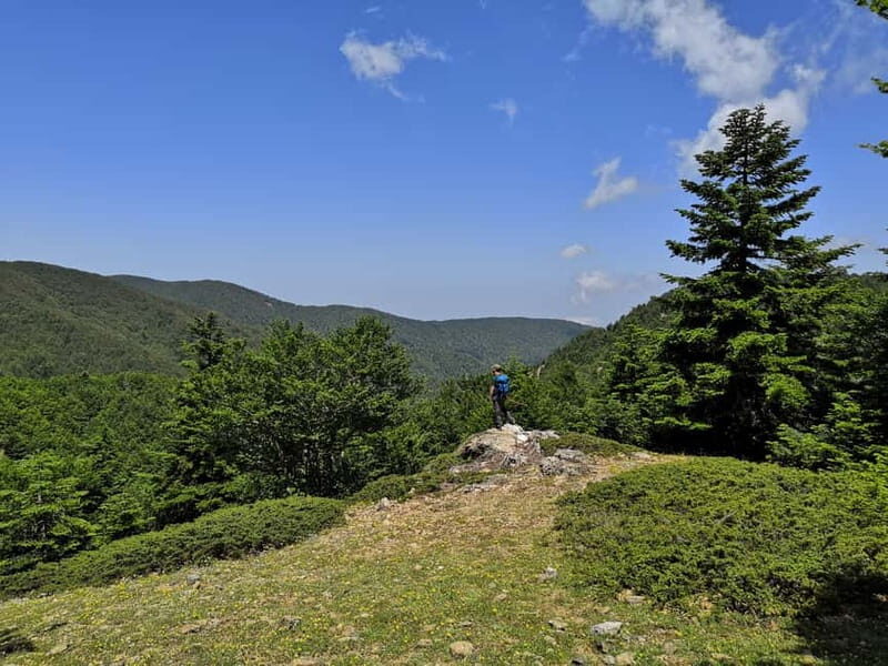 Reggio Calabria: Aspromonte Trails Trek to Montalto Summit - What’s Included and What to Bring