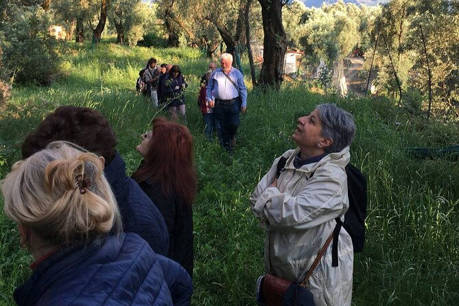 reggio-calabria-museum-and-city-guide-direct-moses