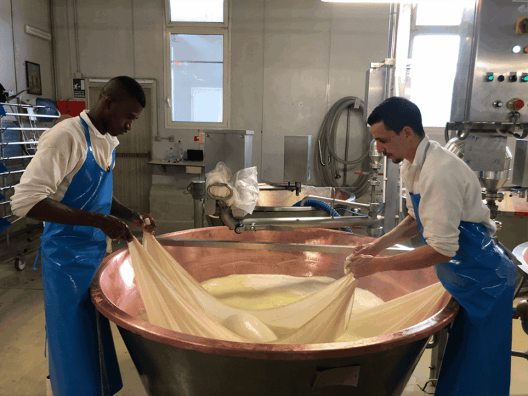 reggio-food-tour-parmigiano-balsamic-cured-meats-wines-2
