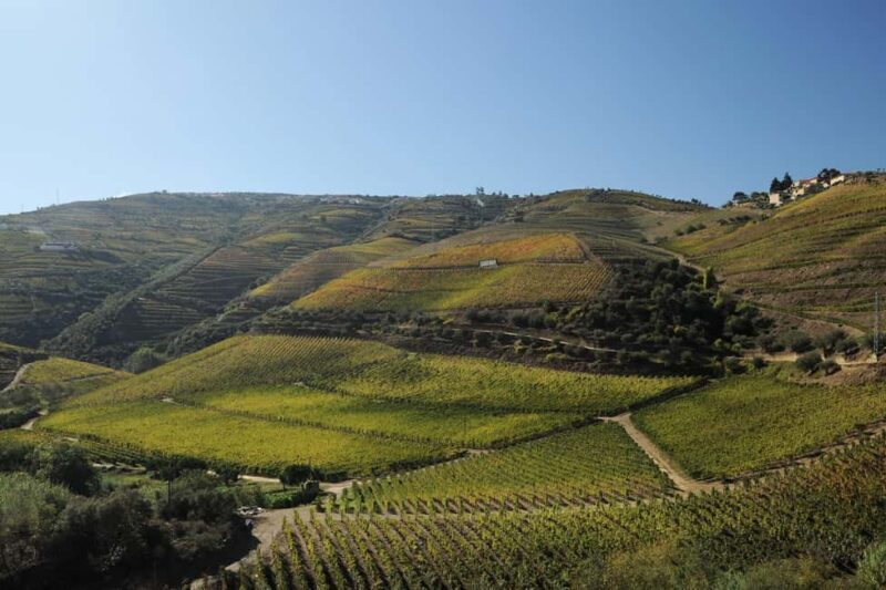 Régua: Pocinho Train Ride and Iconic Douro Dams Cruise - The Itinerary in Depth