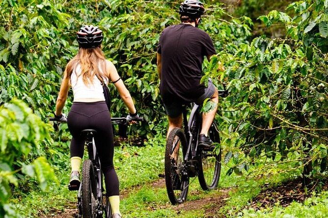 regular-bike-rental-by-e-valley-bikes