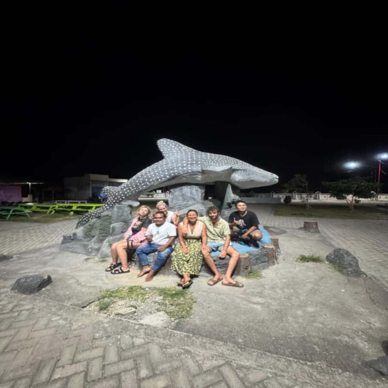 Regular Daily Sumbawa Whale Sharks One Day Tour - What Makes This Tour Stand Out