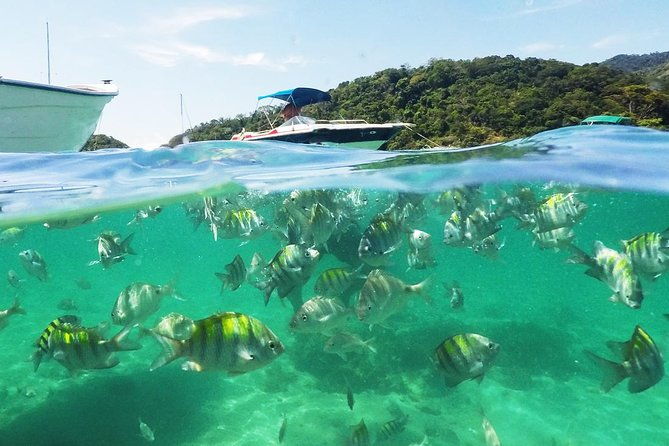 regular-schooner-ride-ilha-grande-tour