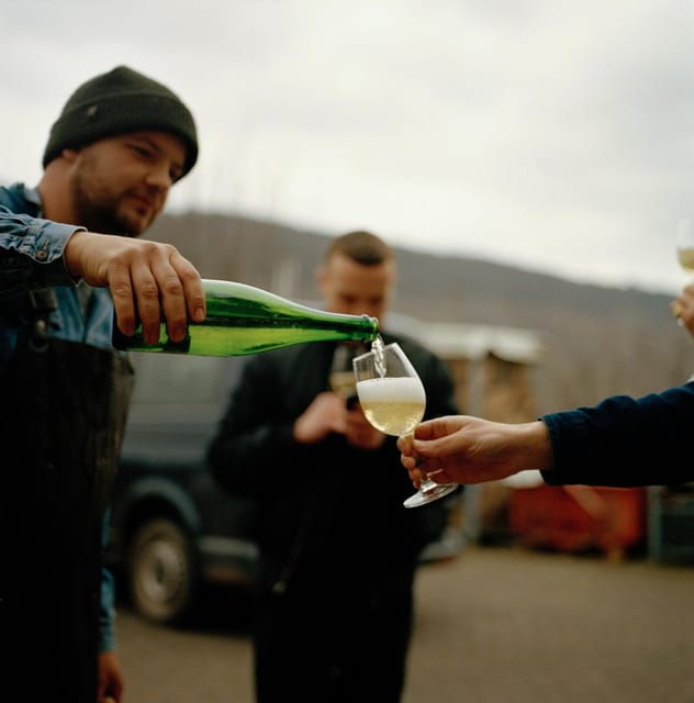 reil-mosel-guided-organic-wine-tasting-and-cellar-tour