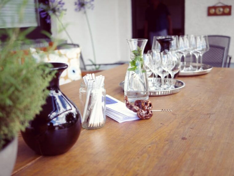 reil-mosel-guided-organic-wine-tasting-and-cellar-tour