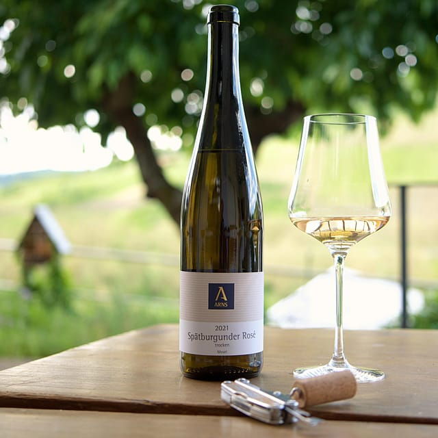 reil-mosel-guided-organic-wine-tasting-and-cellar-tour